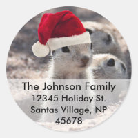 Père Noël Squirrel Étiquettes de adresse