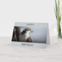Peregrine de Kaart van de Verjaardag van de Valk