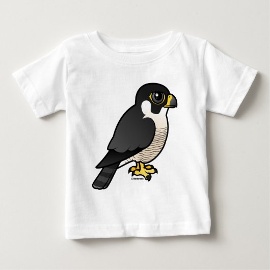 Peregrine Falcon (Voorkant)