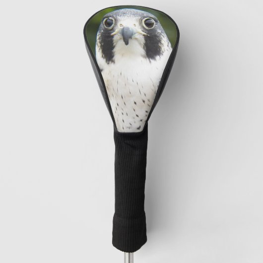 Peregrine Falcon Bird of Prey Photo Golfheadcover (Voorkant)