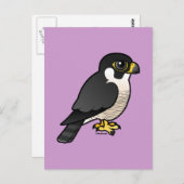 Peregrine Falcon Briefkaart (Voorkant / Achterkant)