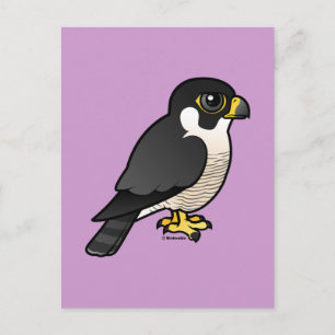 Peregrine Falcon Briefkaart