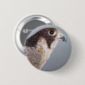Peregrine Falcon Button (Voorkant /achterkant)