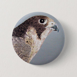Peregrine Falcon Button