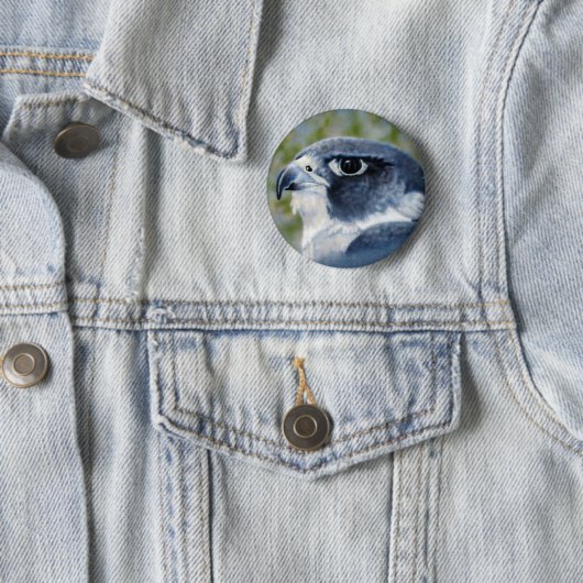 Peregrine Falcon Button (In situ)
