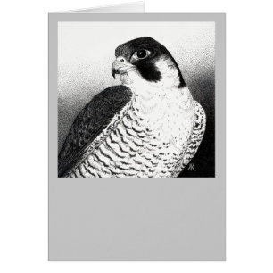 Peregrine Falcon Card
