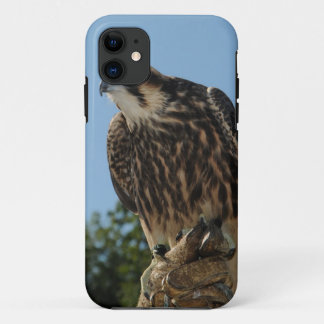 Peregrine Falcon iPhone 11 Hoesje