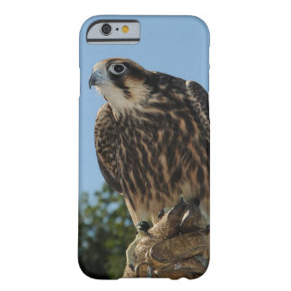 Peregrine Falcon Barely There iPhone 6 Hoesje