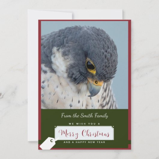 Peregrine Falcon Christmas Kaart (Voorkant)