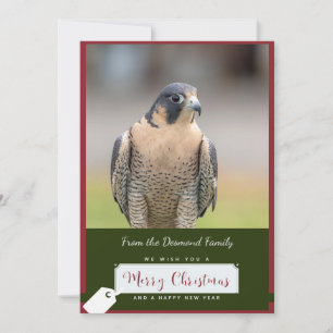 Peregrine Falcon Christmas Kaart