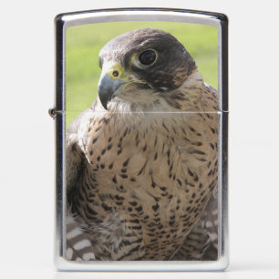 PEREGRINE FALCON CLASSIC ZIPPO