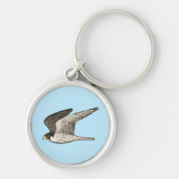 Peregrine Falcon coole vogelafbeelding