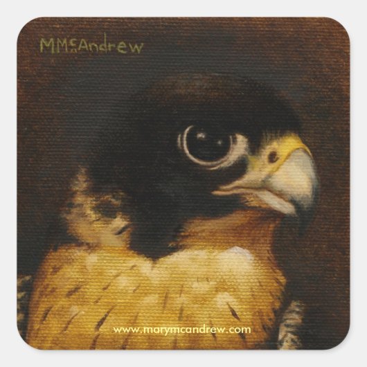 "Peregrine Falcon" Dank u wel stickers (Voorkant)