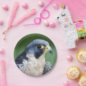 Peregrine Falcon Face Foto Papieren Bordje (Feest)