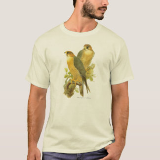 Peregrine Falcon (Falco peregrinus babylonicus) T-shirt