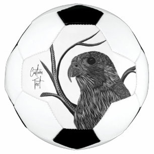 Peregrine Falcon in boomtakken met handschrift Voetbal