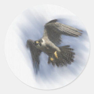 Peregrine Falcon in Flight Ronde Sticker