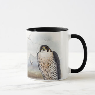 Peregrine Falcon John Gould Birds of Great Britain Mok