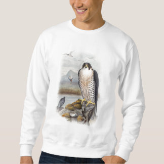 Peregrine Falcon John Gould Birds of Great Britain Trui