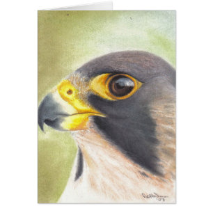 Peregrine Falcon-kaart