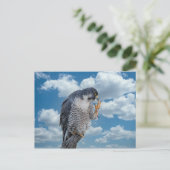 Peregrine Falcon langs de Hudson rivier Briefkaart (Staand voorkant)