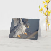 Peregrine Falcon langs de Hudson rivier Kaart (Gele Bloem)