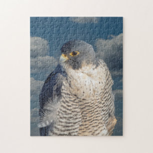 Peregrine Falcon langs de Hudson rivier Legpuzzel