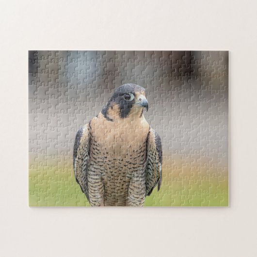 Peregrine Falcon langs de Hudson rivier Legpuzzel (Horizontaal)
