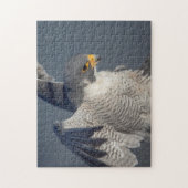 Peregrine Falcon langs de Hudson rivier Legpuzzel (Verticaal)