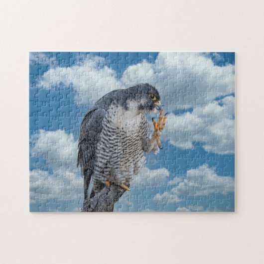 Peregrine Falcon langs de Hudson rivier Legpuzzel (Horizontaal)