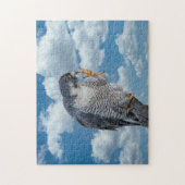 Peregrine Falcon langs de Hudson rivier Legpuzzel (Verticaal)