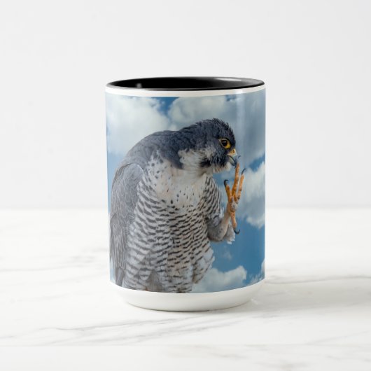 Peregrine Falcon langs de Hudson rivier Mok (Midden)