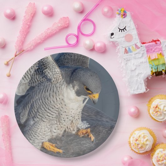 Peregrine Falcon langs de Hudson rivier Papieren Bordje (Feest)