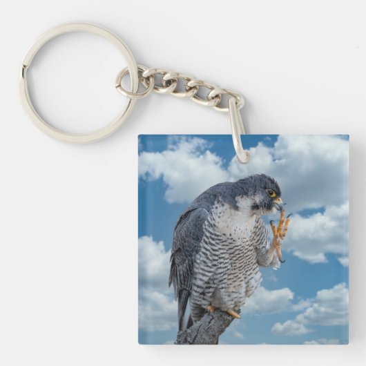 Peregrine Falcon langs de Hudson rivier Sleutelhanger (Voorkant)