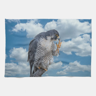 Peregrine Falcon langs de Hudson rivier Theedoek
