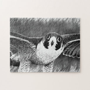 Peregrine Falcon Legpuzzel