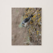 Peregrine falcon legpuzzel (Verticaal)