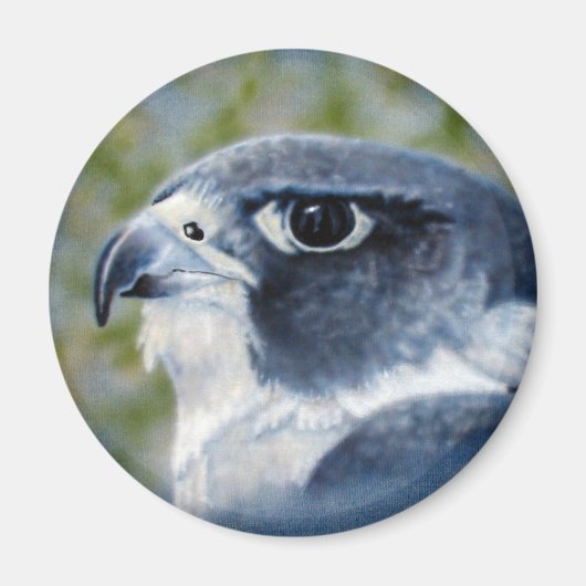 Peregrine Falcon Magnet Magneet (Voorkant)