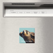 Peregrine Falcon Magnet Magneet (Insitu (Vaatwasser))