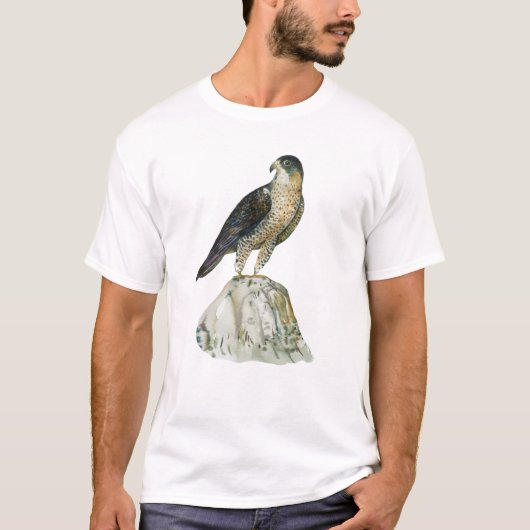 Peregrine falcon  Men's T-Shirts (Voorkant)