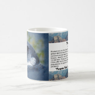 Peregrine Falcon-Mok Koffiemok