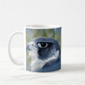 Peregrine Falcon-Mok Koffiemok (Links)