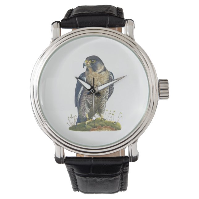 Peregrine Falcon Montre à poignet en cuir (devant)