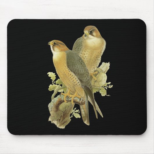 Peregrine Falcon Muismat (Voorkant)