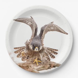 Peregrine Falcon Papieren Bordje