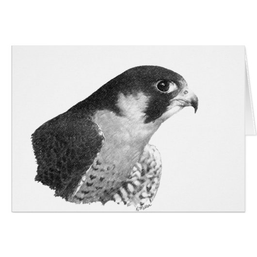 Peregrine Falcon-Pencil (Voorkant Horizontaal)