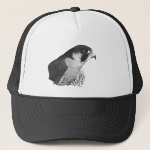 Peregrine Falcon-Pencil Trucker Pet
