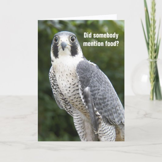 Peregrine Falcon Photo Funny Birthday Kaart (Voorkant)