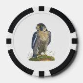 Peregrine Falcon Poker Chips (Voorkant)