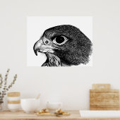 Peregrine Falcon Poster (Keuken)